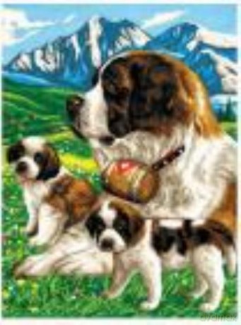 Painting by Numbers Junior St Bernards 1109