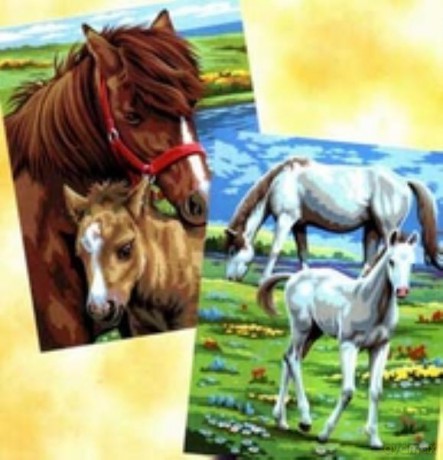 Painting by Numbers Pairs Junior Horses 0215