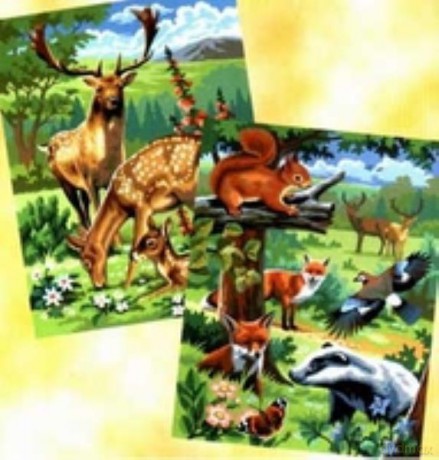 Painting by Numbers Pairs Woodland Junior Animals 0216