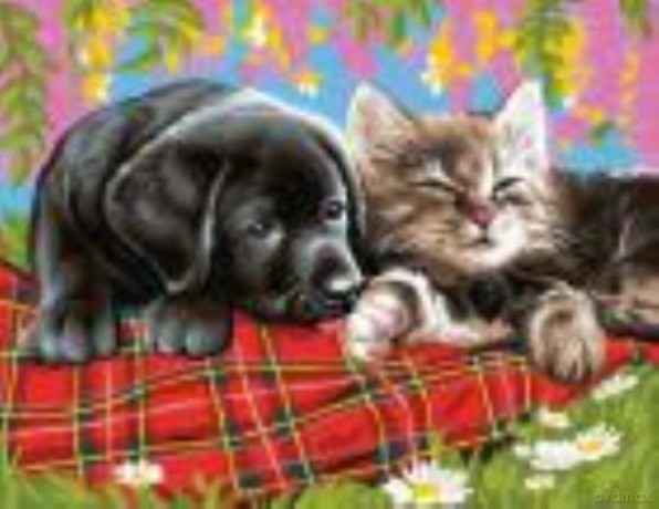 Painting by Numbers Senior New Friends 1107