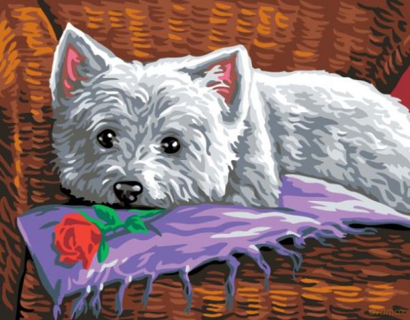 Painting by Numbers Senior Romeo 2118