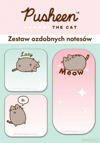Zestaw notesów 30k 3 szt Pusheen