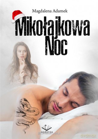 Mikołajkowa noc - Magdalena Adamek [KSIĄŻKA]