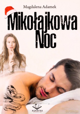 Mikołajkowa noc - Magdalena Adamek [KSIĄŻKA]
