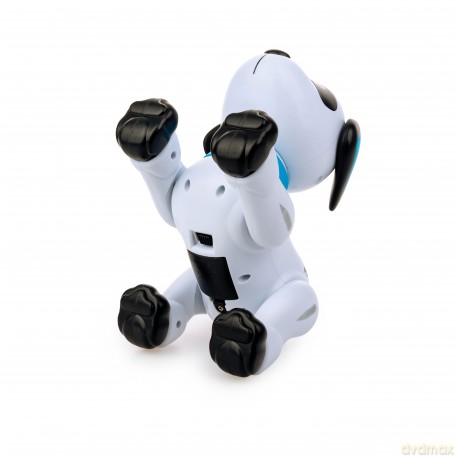 Dumel Robo Psiak Akrobata Junior