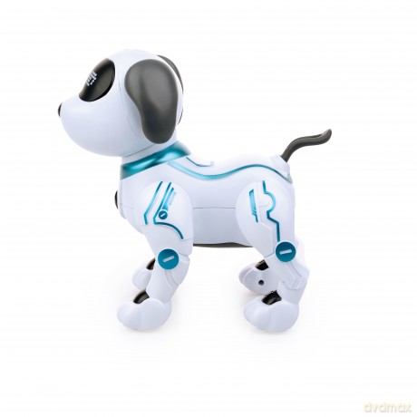 Dumel Robo Pies Akrobata