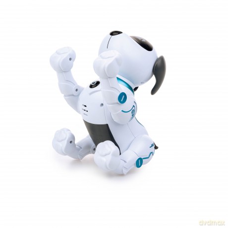 Dumel Robo Pies Akrobata