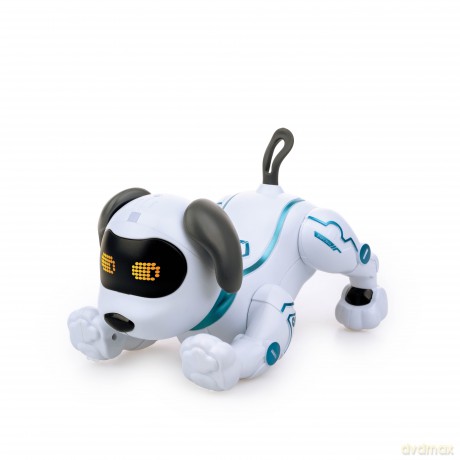 Dumel Robo Pies Akrobata