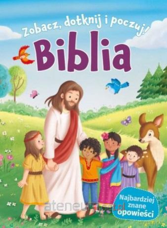 Biblia. Zobacz, dotknij, poczuj! [KSIĄŻKA]