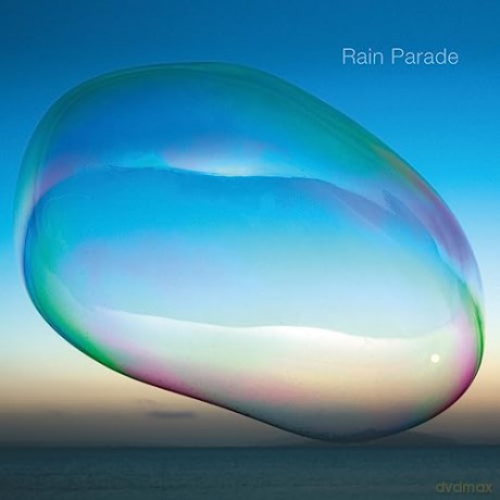Rain Parade: Last Rays Of A Dying Sun [Winyl]