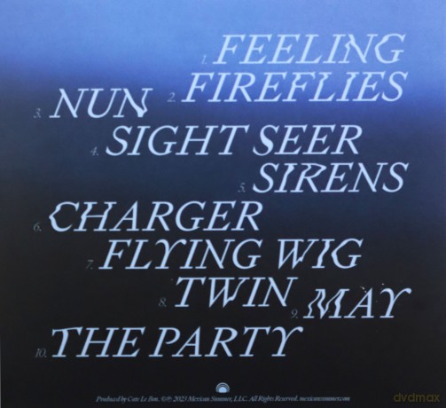 Devendra Banhart: Flying Wig  [CD]
