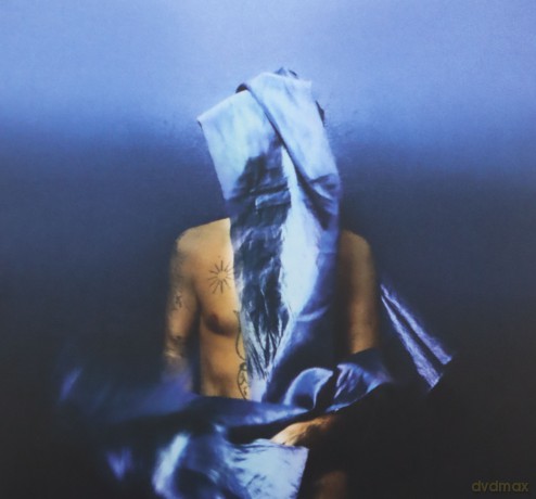Devendra Banhart: Flying Wig  [CD]