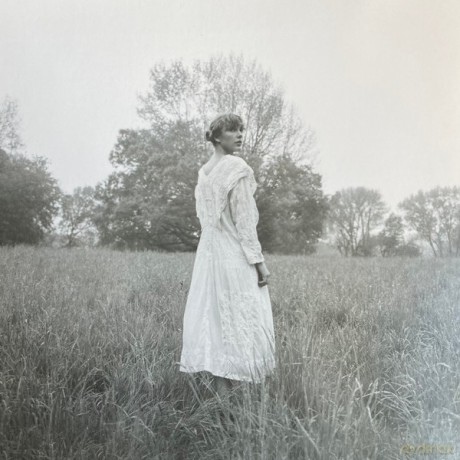 Taylor Swift: The Lakes (RSD 2022) [Winyl]