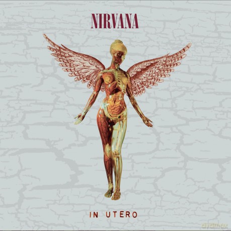 Nirvana: In Utero (30th Anniversary) (Deluxe) [5CD]