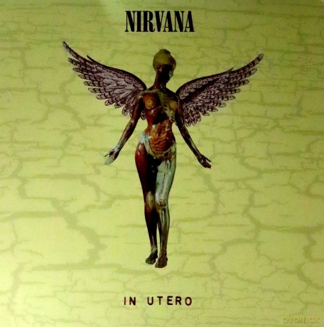 Nirvana: In Utero (30th Anniversary) [2xWinyl]