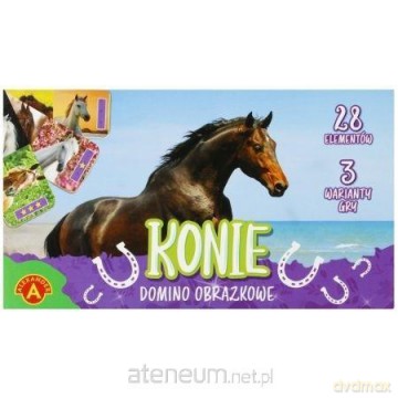 Domino obrazkowe - konie [GRA]