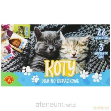 Domino obrazkowe - koty [GRA]