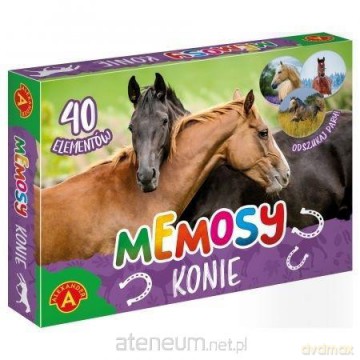 Memosy - konie [GRA]