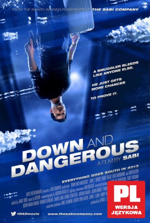 Down and Dangerous [DVD]