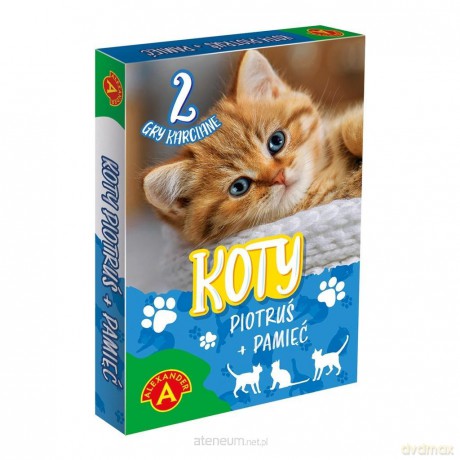 Piotruś Pamięć - koty [KARTY]