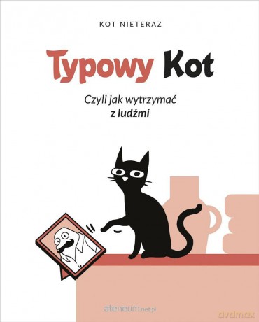 Typowy Kot czyli jak wytrzymać z ludźmi - Kot Nieteraz [KSIĄŻKA]