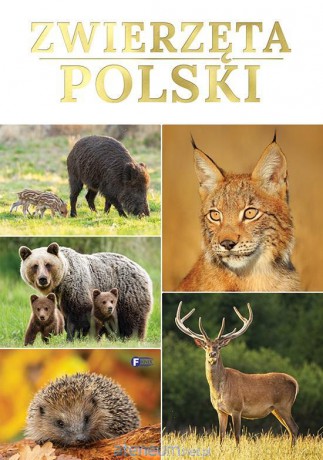 Zwierzęta Polski [KSIĄŻKA]