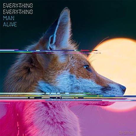 Everything Everything: Man Alive [Winyl]