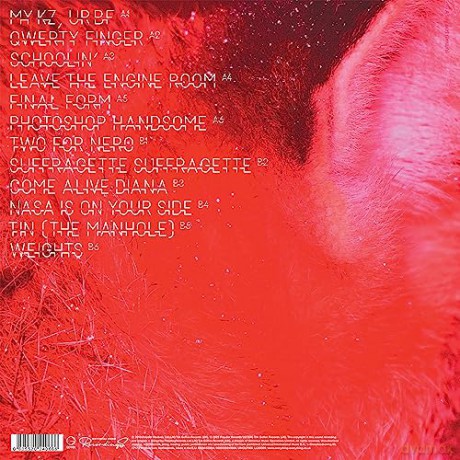 Everything Everything: Man Alive [Winyl]