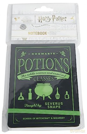 Harry Potter: Pocket Notebook - Harry Potter (Potions)