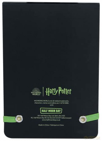 Harry Potter: Pocket Notebook - Harry Potter (Potions)