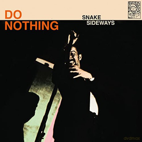 Do Nothing: Snake Sideways [Winyl]