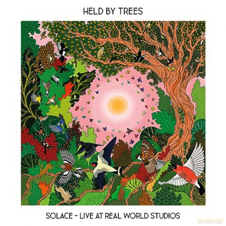 Held By Trees: Solace - Live From Real World Studios [CD]