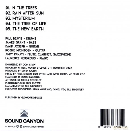 Held By Trees: Solace - Live From Real World Studios [CD]