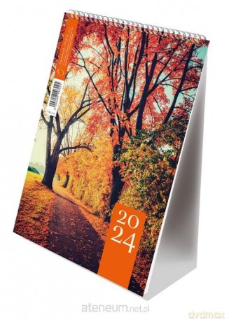 Kalendarz 2024 pionowy B6 ze spiralką jesień [KALENDARZ]