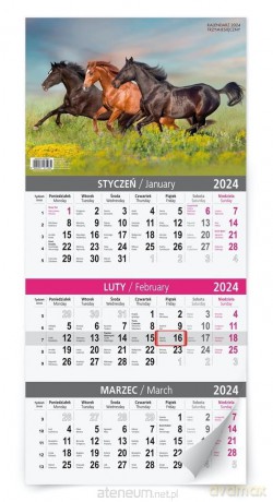 Kalendarz 2024 ścienny trzymiesięczny MIX [KALENDARZ]