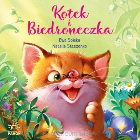 Kotek i biedroneczka [KSIĄŻKA]
