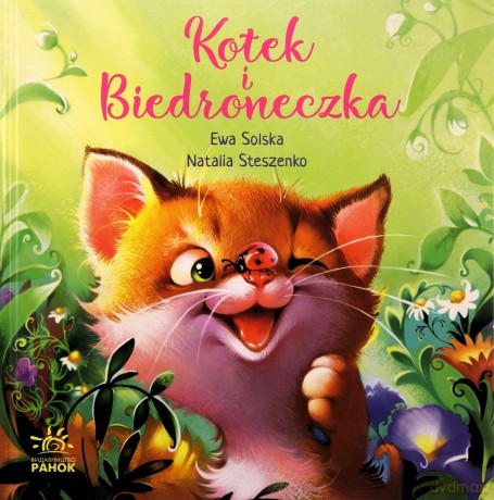 Kotek i biedroneczka [KSIĄŻKA]