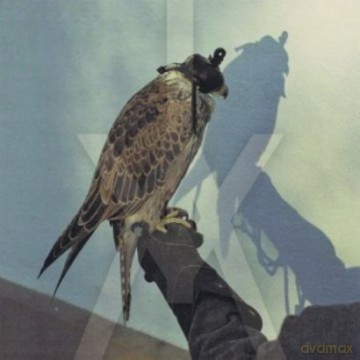 Iceage: You`Re Nothing [WINYL]