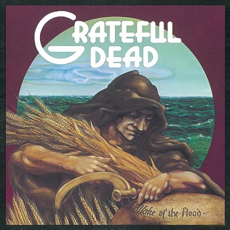 Grateful Dead: Wake Of The Flood (50th Anniversary) (Picture) [Winyl]