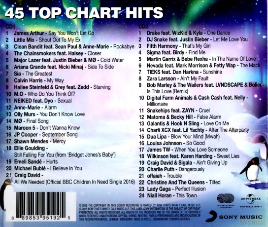 Now That's What I Call Music 95 [CD]