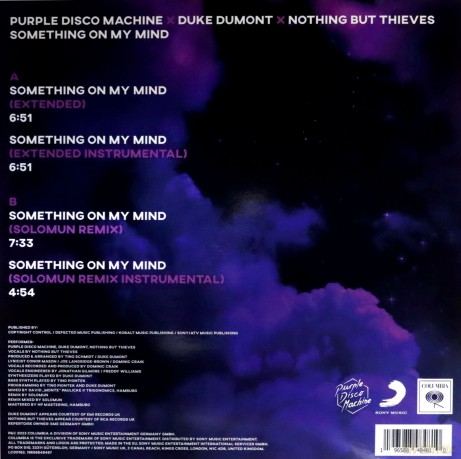 Purple Disco Machine & Duke Dum: Something On My Mind [Winyl]