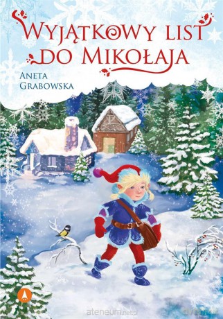Wyjątkowy list do Mikołaja - Aneta Grabowska [KSIĄŻKA]