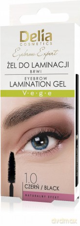 DELIA EYEBROW EXPERT Żel d/brwi laminacja1.0 czer&