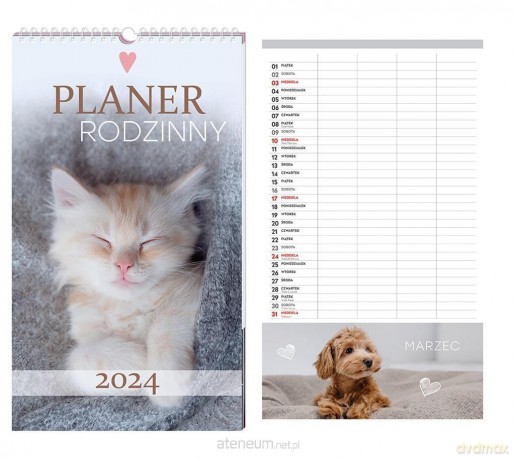 Kalendarz 2024 plan. rodzinny 25x43cm Zwierzaki [KALENDARZ]