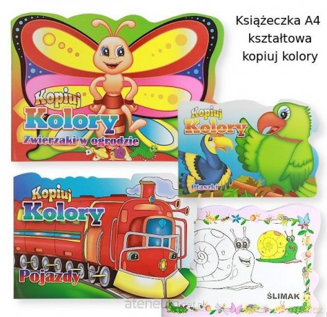 Kopiuj kolory MIX [KSIĄŻKA]