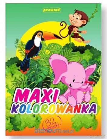 Maxi kolorowanka [KSIĄŻKA]
