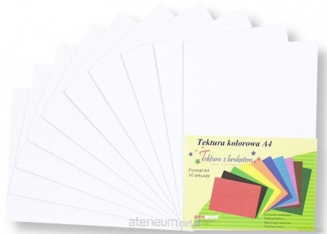 Tektura A4 gładka brokat biała 10szt