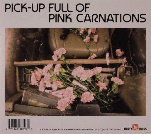 The Vaccines: Pick-Up Full Of Pink Carnations [CD]