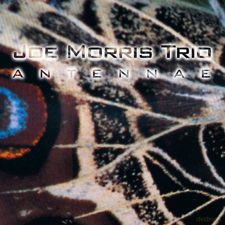 Morris, Joe Trio (N. McBride, J. Deupree): Antennae [CD]