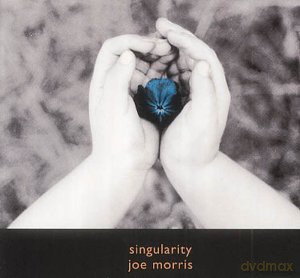 Joe Morris: Singularity (steel string acoustic guitar) [CD]